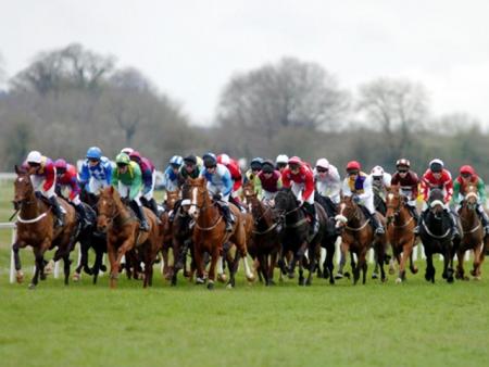 https://betting.betfair.com/horse-racing/images/Cork%20640%20x%20480.jpg